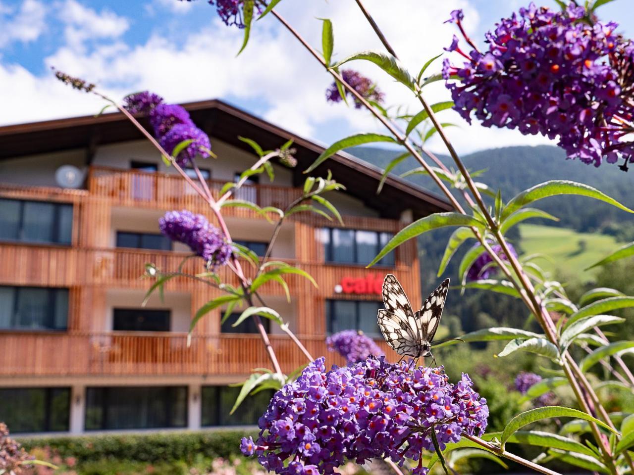 Aparthotel Der Brueckenwirt à Heinfels Extérieur photo